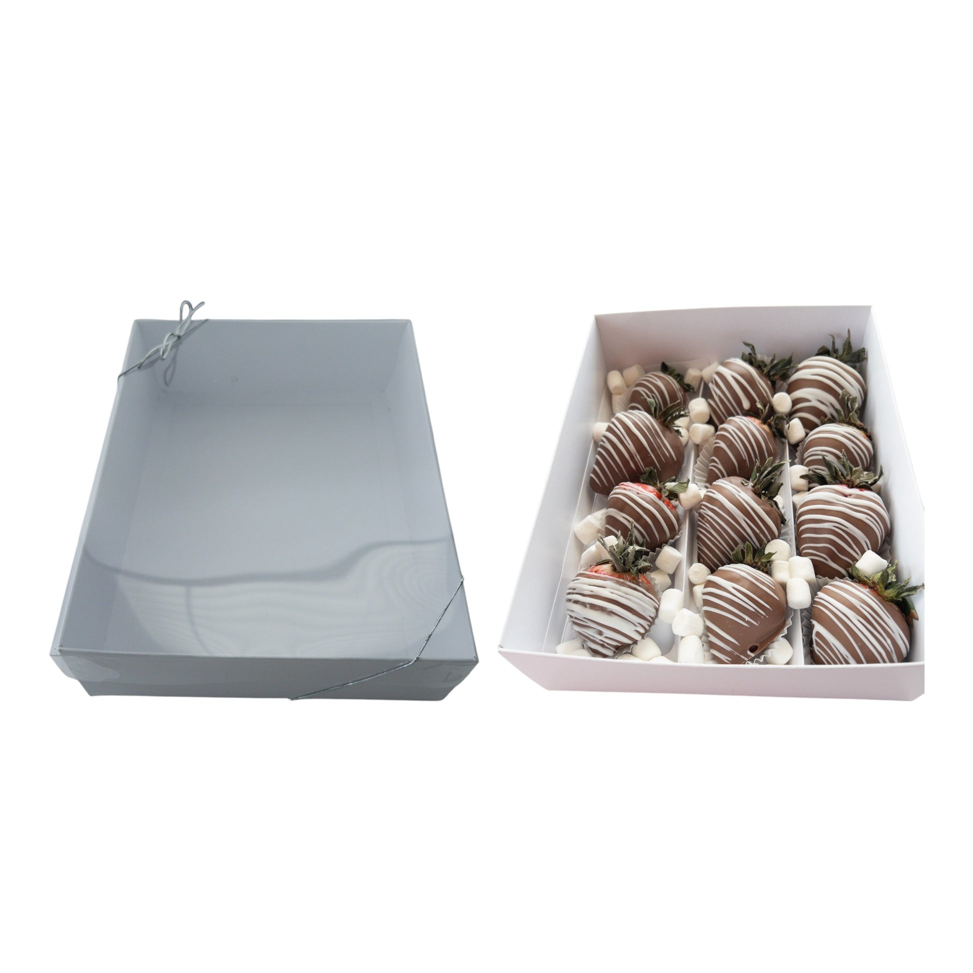 Multi-Purpose Treat Box with 2 Cupcake Cavities, White Insert, and Clear Lid image 5