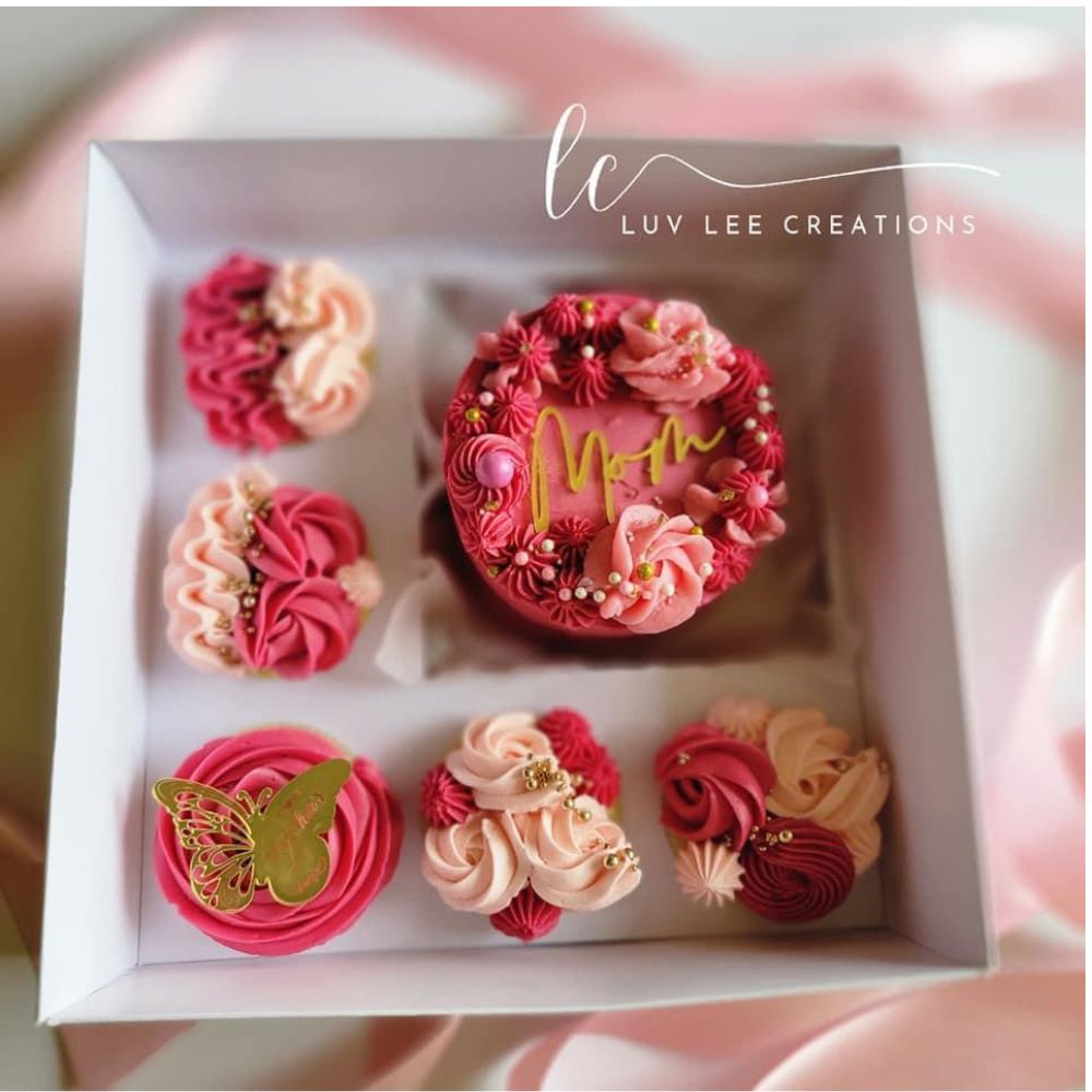 premium cupcake bento box with clear lid eco friendly bakery packaging